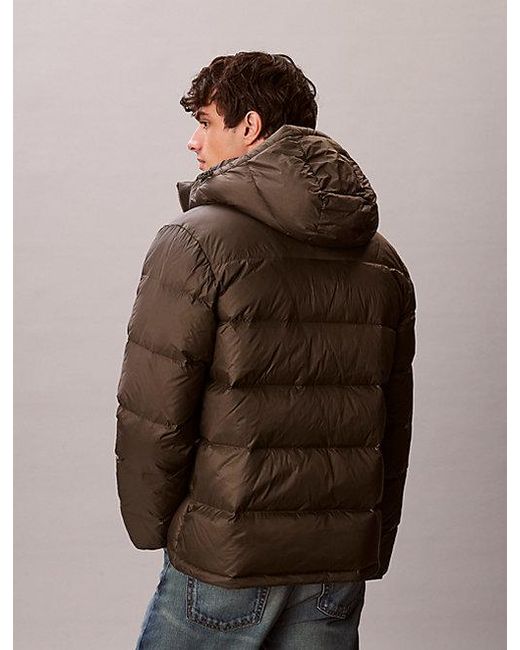 Calvin Klein Brown Jeans Hooded Down Puffer Jacket for men
