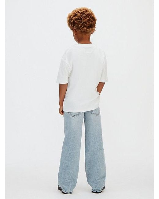 Calvin Klein Blue Jeans Skater Jeans for men