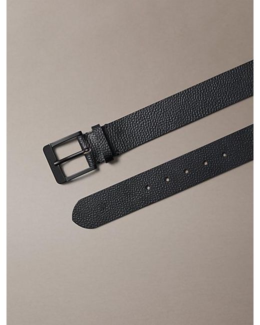 Calvin Klein Multicolor Jeans Leather Belt for men