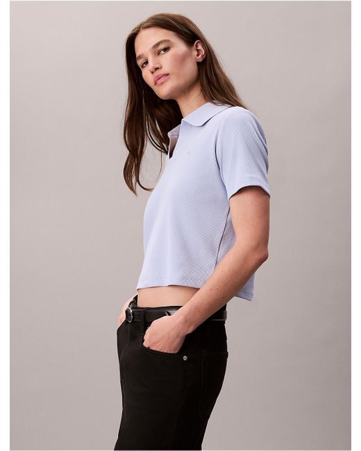 Calvin Klein Multicolor Calvin Klein Cotton Contour Rib Polo Tee