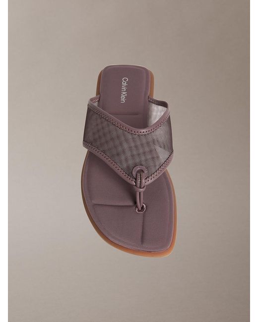 Calvin Klein Brown Carla