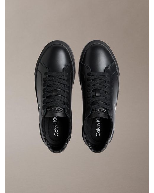 Calvin Klein Gray Premier for men