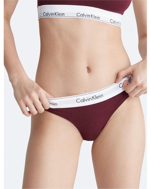 Calvin Klein Modern Cotton Thong in Purple