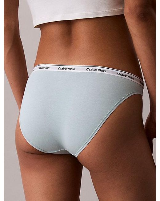 Calvin Klein Multicolor Bikini Briefs Icon Logo