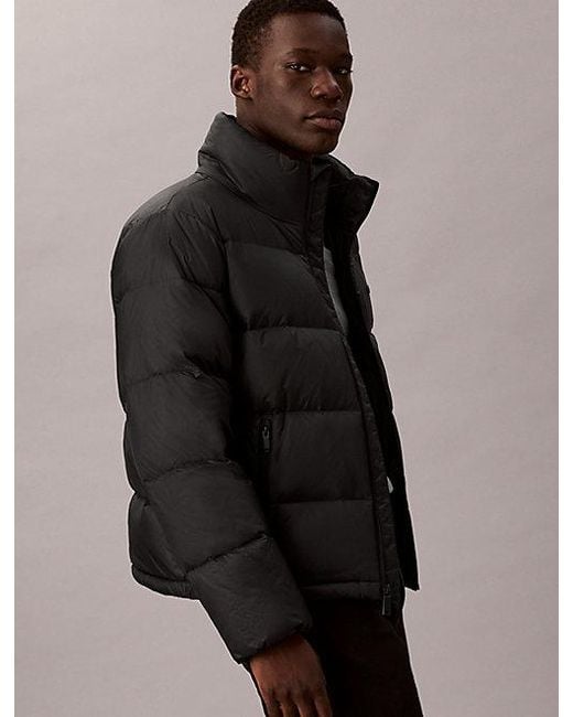 Calvin Klein Brown Channelled Down Puffer Jacket for men