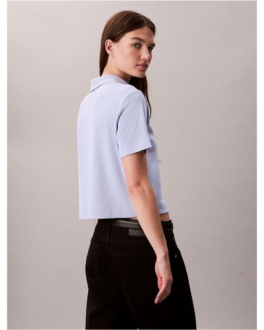 Calvin Klein Multicolor Calvin Klein Cotton Contour Rib Polo Tee