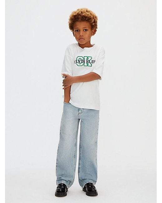 Calvin Klein Blue Jeans Skater Jeans for men