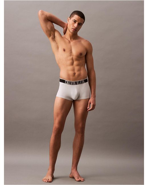 Calvin Klein Gray Intense Power Ultra Cooling Low Rise Trunk for men