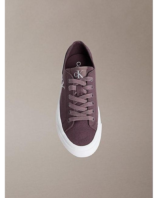 Calvin Klein Brown Graz
