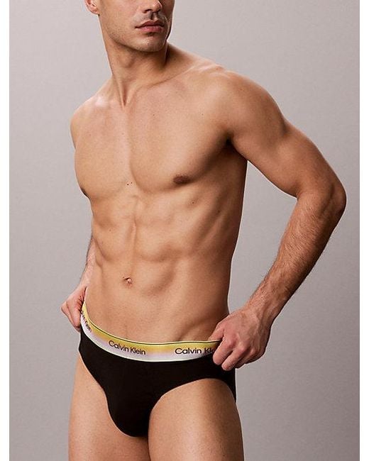 Calvin Klein Brown Hip Briefs Icon Cotton Stretch Pride for men