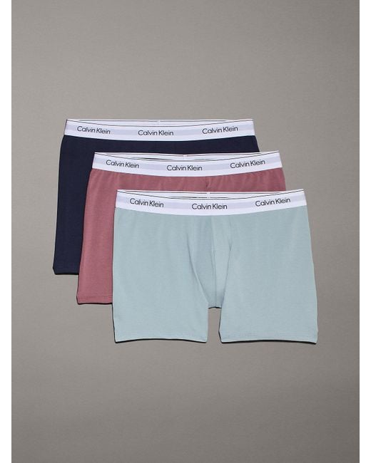 Calvin Klein Gray Plus Size 3 Pack Boxer Briefs - Modern Cotton for men