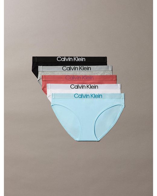 Calvin Klein Gray 5 Pack Bikini Briefs