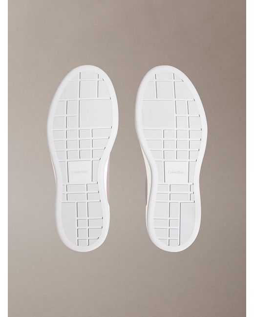 Calvin Klein Brown Premier