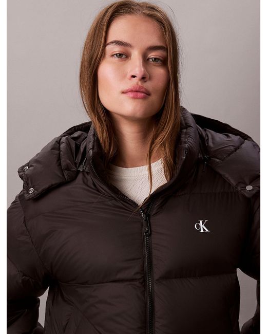 Calvin Klein Brown Short Down Puffer Jacket