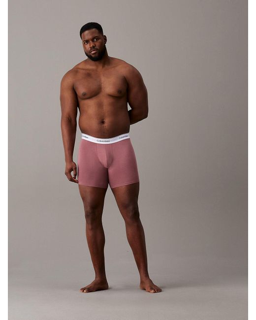 Calvin Klein Gray Plus Size 3 Pack Boxer Briefs - Modern Cotton for men
