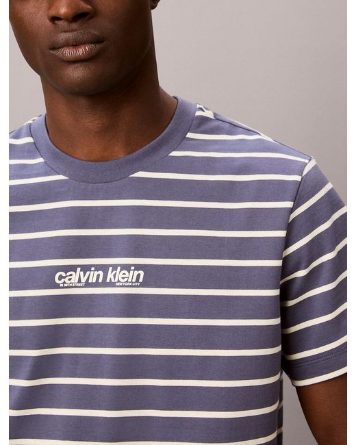 Calvin Klein Blue Relaxed Stripe Logo T-Shirt for men