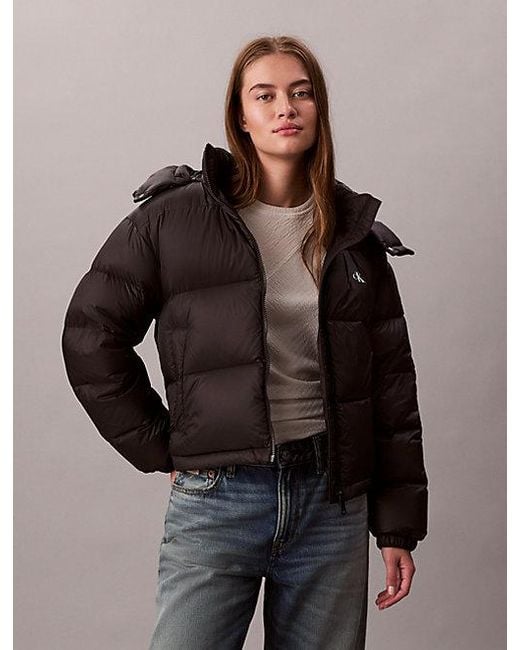 Calvin Klein Brown Kurze Daunen-Steppjacke
