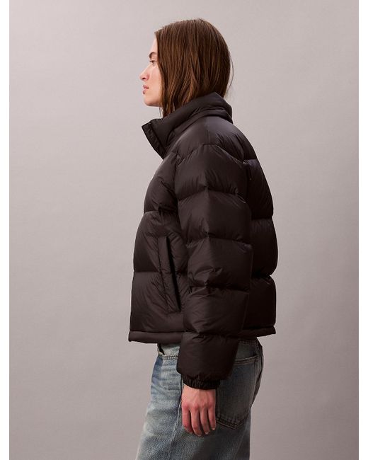 Calvin Klein Brown Short Down Puffer Jacket