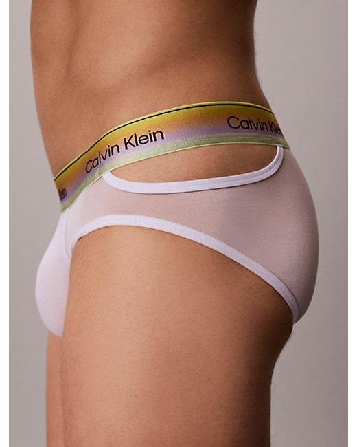 Calvin Klein Slips in het Brown voor heren