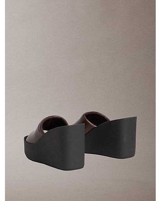 Calvin Klein Gray Melia