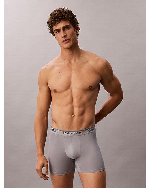 Calvin Klein Gray 3 Pack Boxer Briefs for men