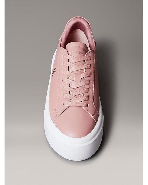Calvin Klein Pink Sienna