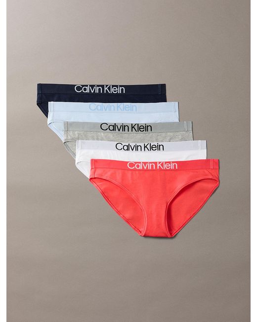 Calvin Klein Gray 5 Pack Bikini Briefs