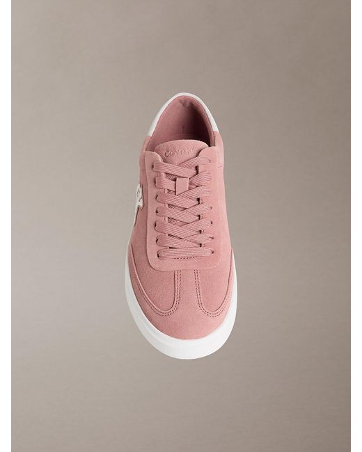 Calvin Klein Pink Brooke