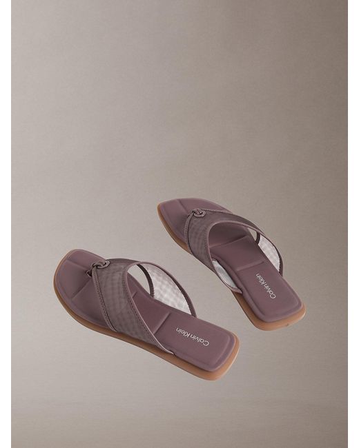 Calvin Klein Brown Carla