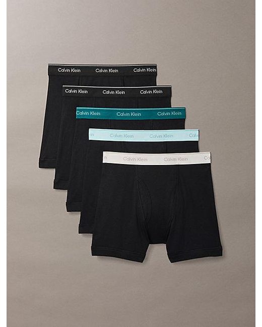 Calvin Klein Multicolor 5 Pack Boxer Briefs for men