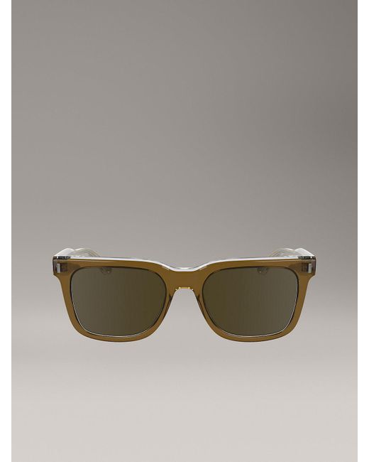 Calvin Klein Brown Modified Rectangle Sunglasses Ck24536S for men