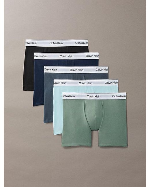 Calvin Klein Multicolor 5 Pack Boxer Briefs for men