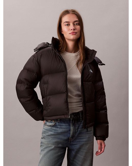 Calvin Klein Brown Short Down Puffer Jacket
