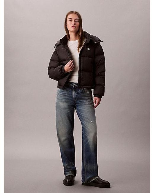 Calvin Klein Brown Kurze Daunen-Steppjacke