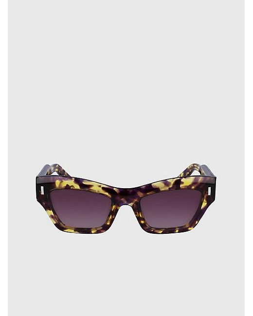 Calvin Klein Purple Butterfly Sunglasses