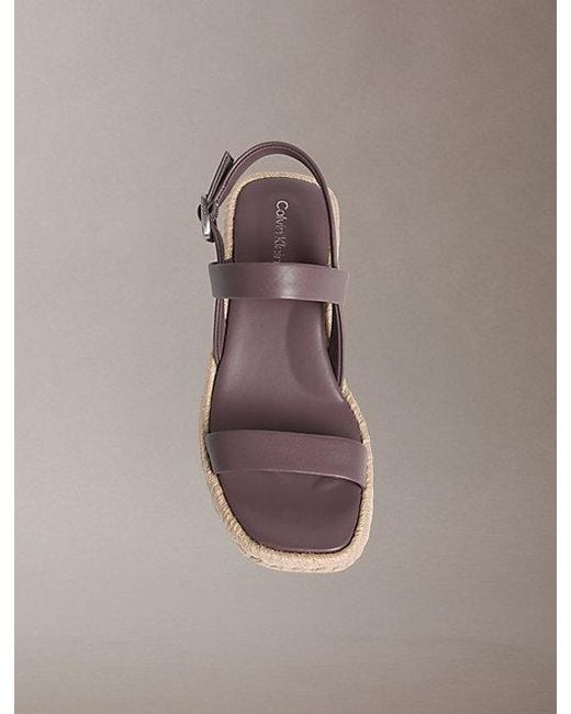 Calvin Klein Beta in het Gray