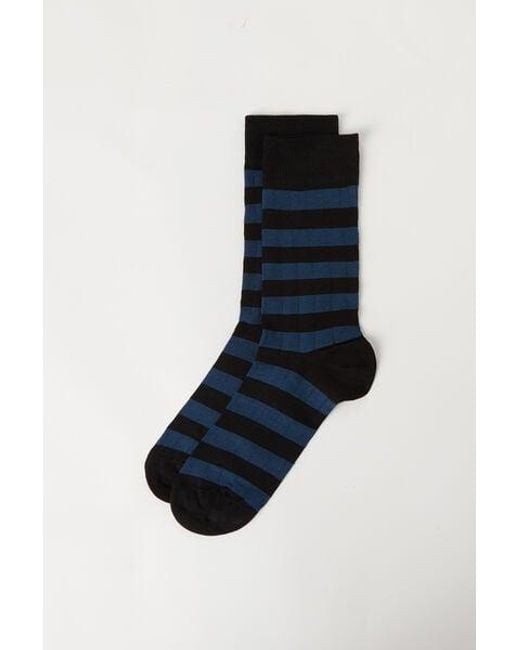 Calzedonia Blue ’S Striped Short Socks for men