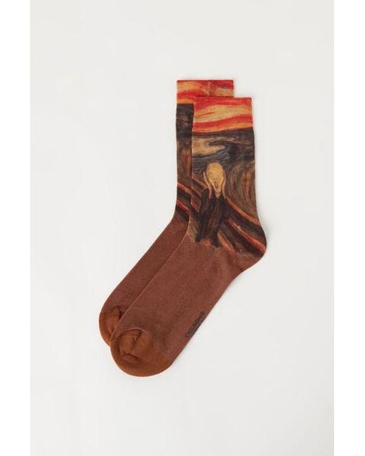 Calzedonia Brown Cotton Short Socks for men