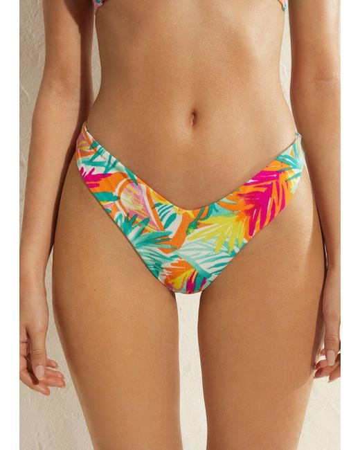 Calzedonia Multicolor High-leg Brazilian Bikini Bottoms Beverly Hills
