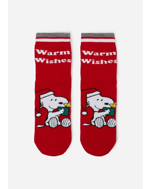 Calze Antiscivolo Snoopy da Velikost TU da Uomo di Calzedonia in Rosso Lyst