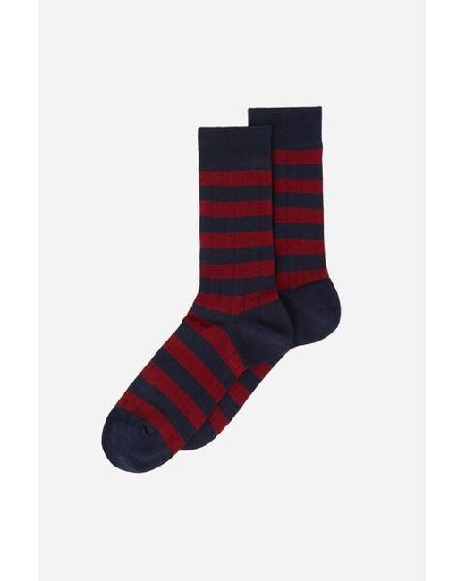 Calzedonia Blue ’S Striped Short Socks for men