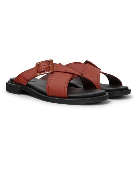 Camper Brown Edy
