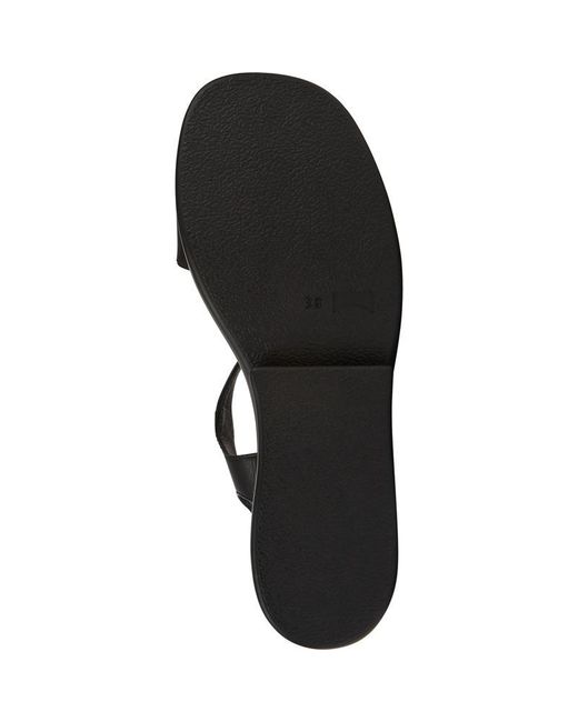 Camper Black Kaah