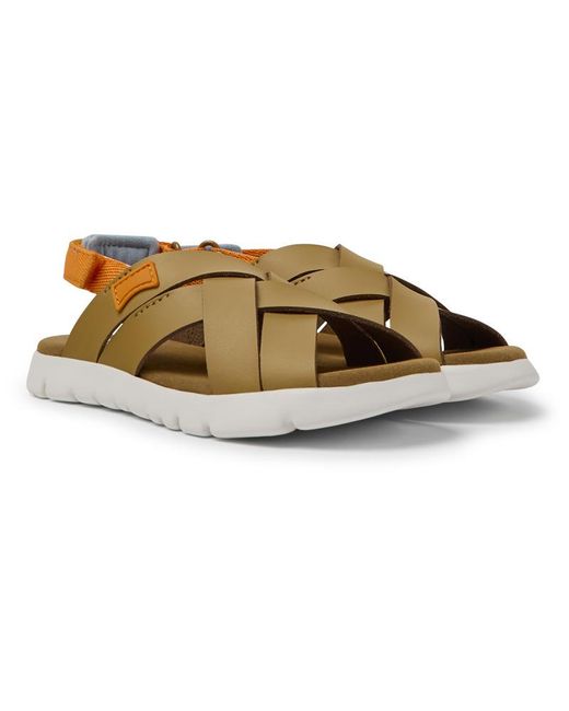 Camper Brown Oruga