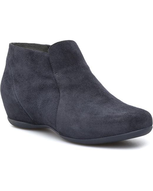 Camper Blue Sinuosa