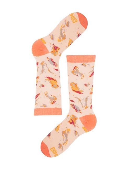 Camper Orange Socks