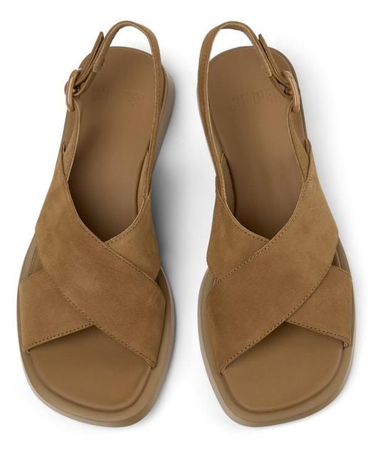 Camper Brown Dana