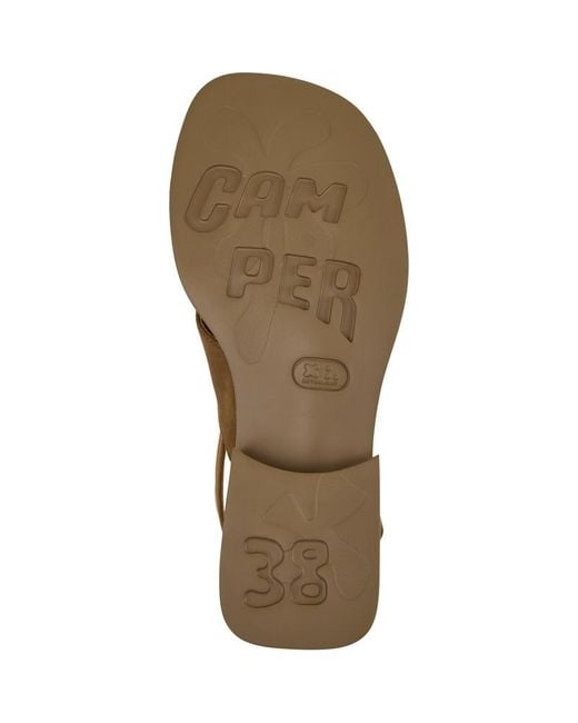 Camper Brown Dana