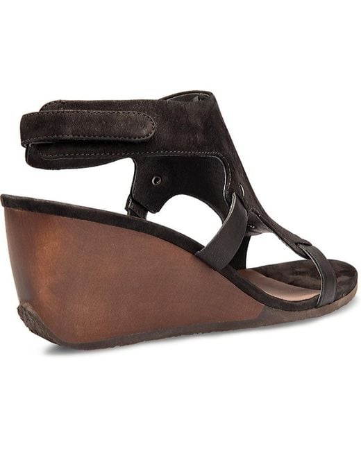 Camper Brown Laura