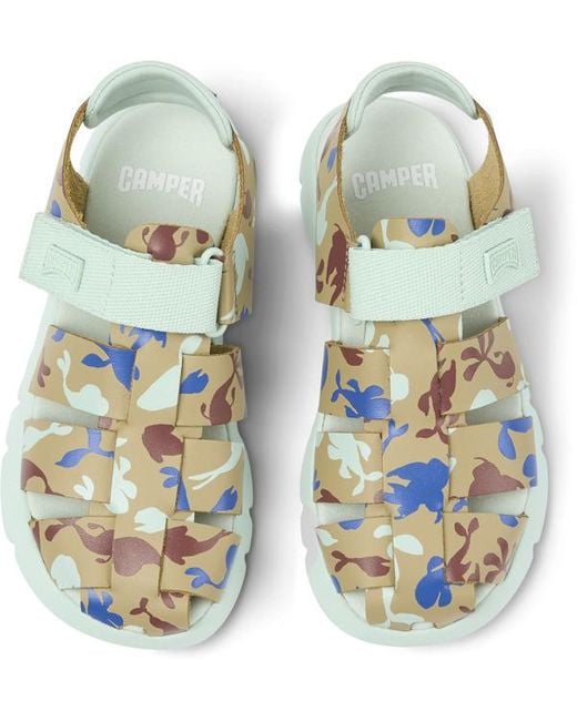 Camper Blue Oruga
